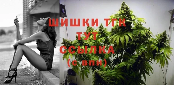 Альфа ПВП Гусев